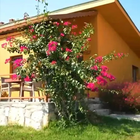 Oezlemkoey Ciftlik 塞费里希萨尔