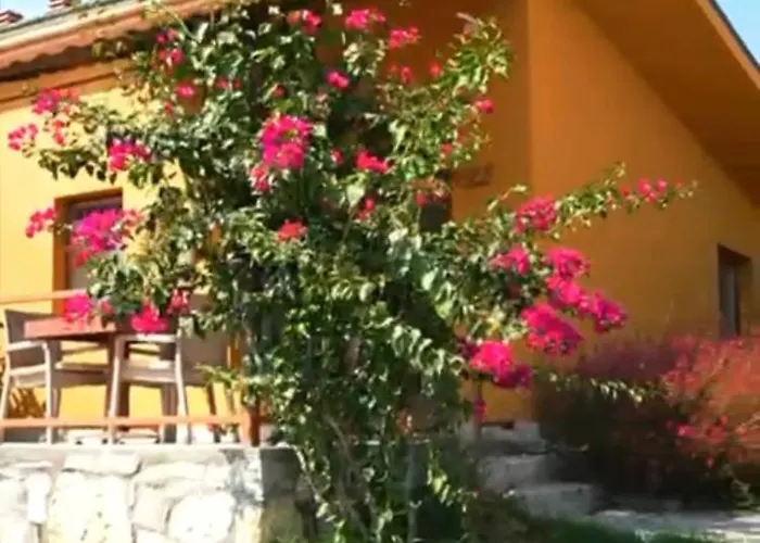 Oezlemkoey Ciftlik 塞费里希萨尔